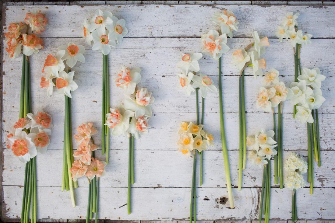The Wedding Website of Stefanie Akinmade and Allen Bittinger