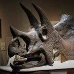 Dickinson Museum Center & Badlands Dinosaur Museum