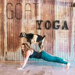 Galena Goat Yoga