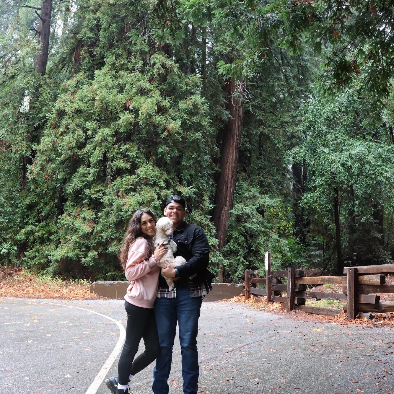 Big Sur