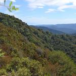 Castle Rock State Park