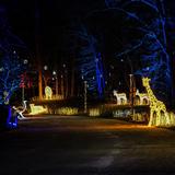 Milwaukee County Zoo Wild Lights