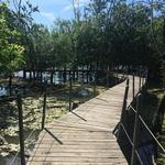 Heard Natural Science Museum & Wildlife Sanctuary