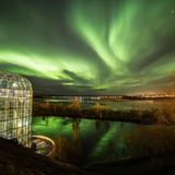Arktikum