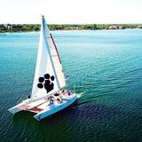 Nauti Cat Cruises