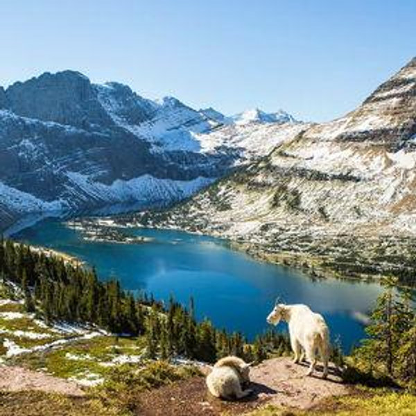 Honeymoon Fund to Glacier