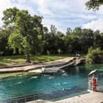 Barton Springs Pool