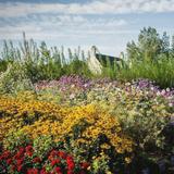 Archerfield Walled Garden & Cafe
