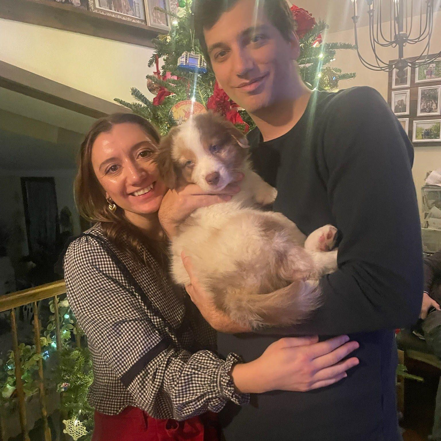 Biscuit's first Christmas!