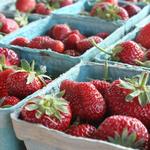 Morgantown Farmers Market