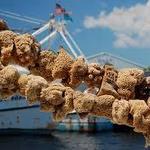Tarpon Springs Sponge Docks