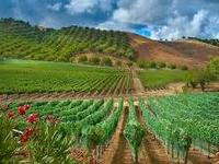 Paso Robles