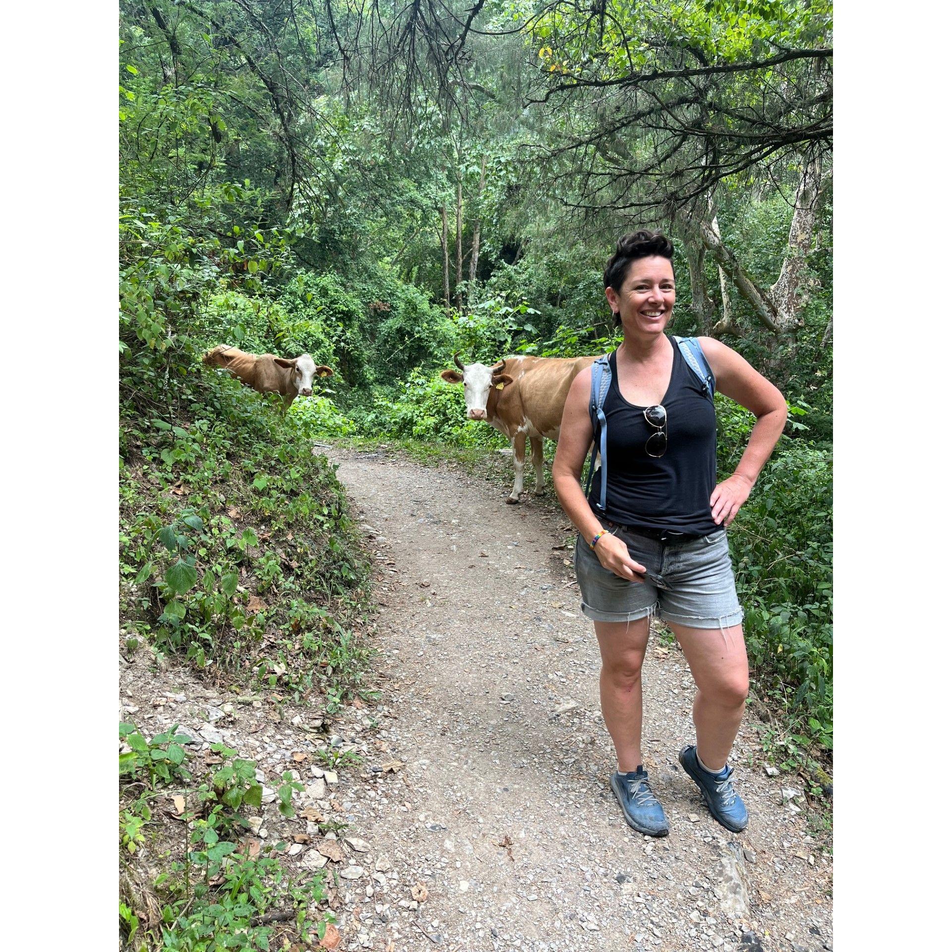 Bethany posing with the cows in Jalpan de Serra, Queretaro, Mexico.