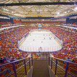 Bon Secours Wellness Arena