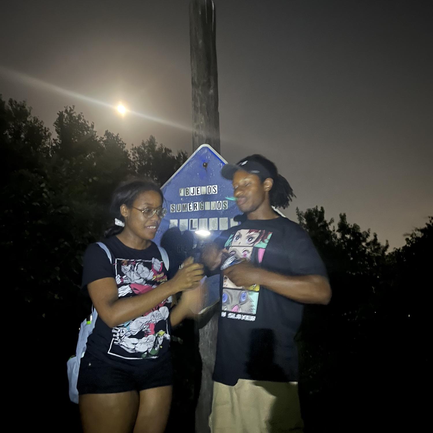 "Nature Walk" — Baytown Nature Center