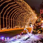 Christmas Wonderland - Rock Spring Park