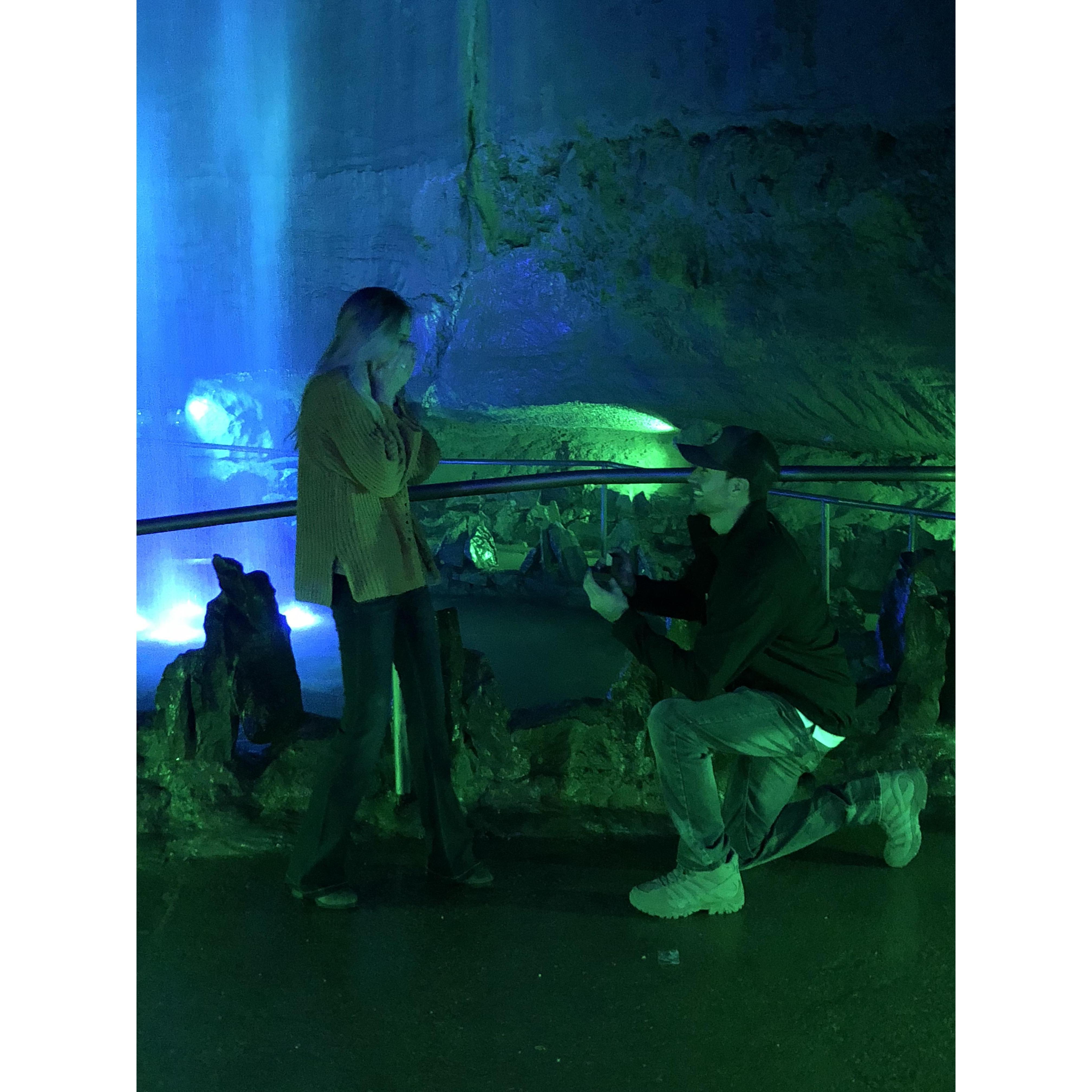 The sweetest proposal