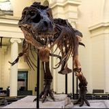 Field Museum