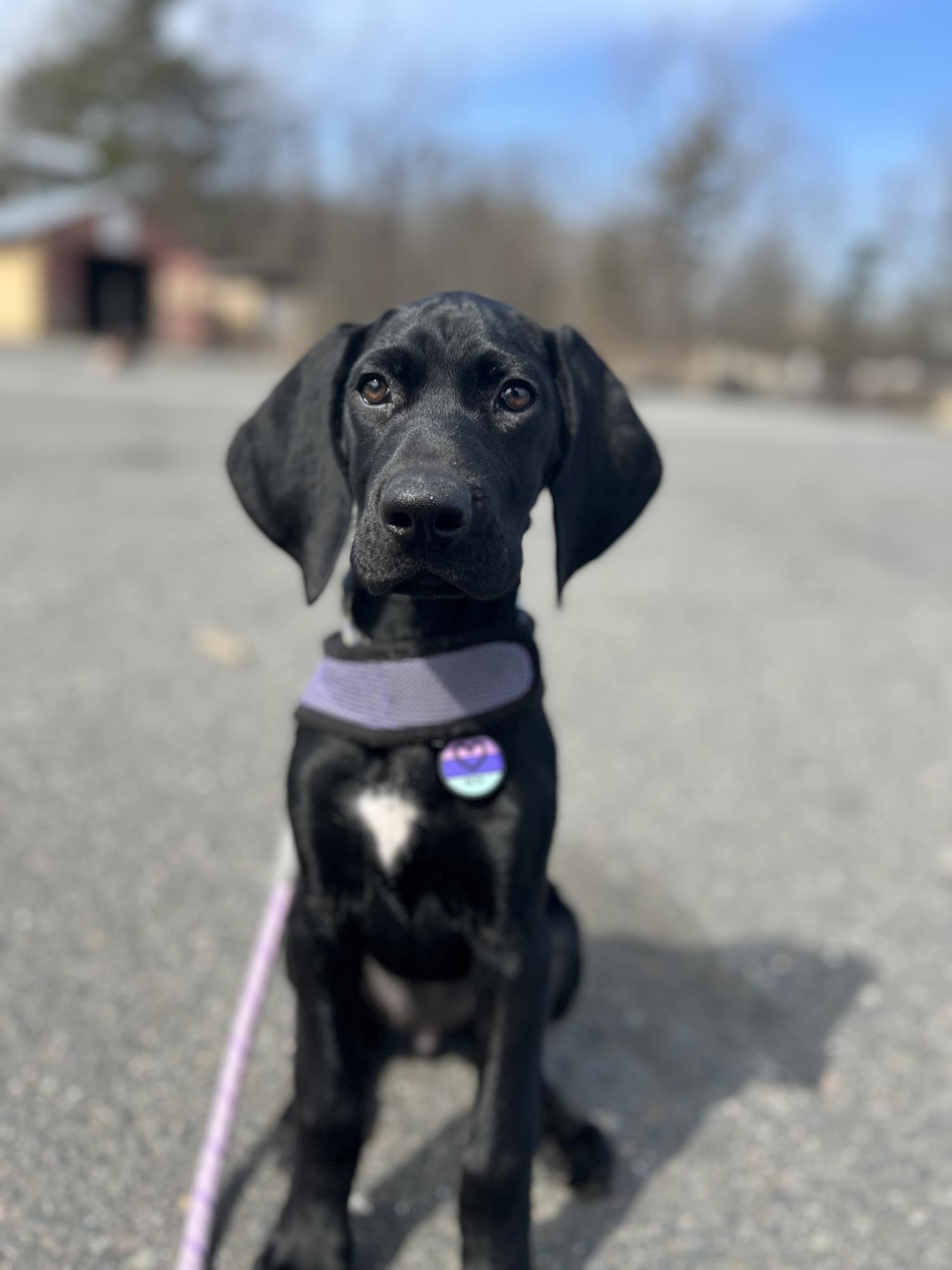 Our Second Baby, Beth!