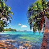 Puerto Viejo beach trip
