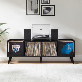 Asheville Low Record Stand with Storage Console