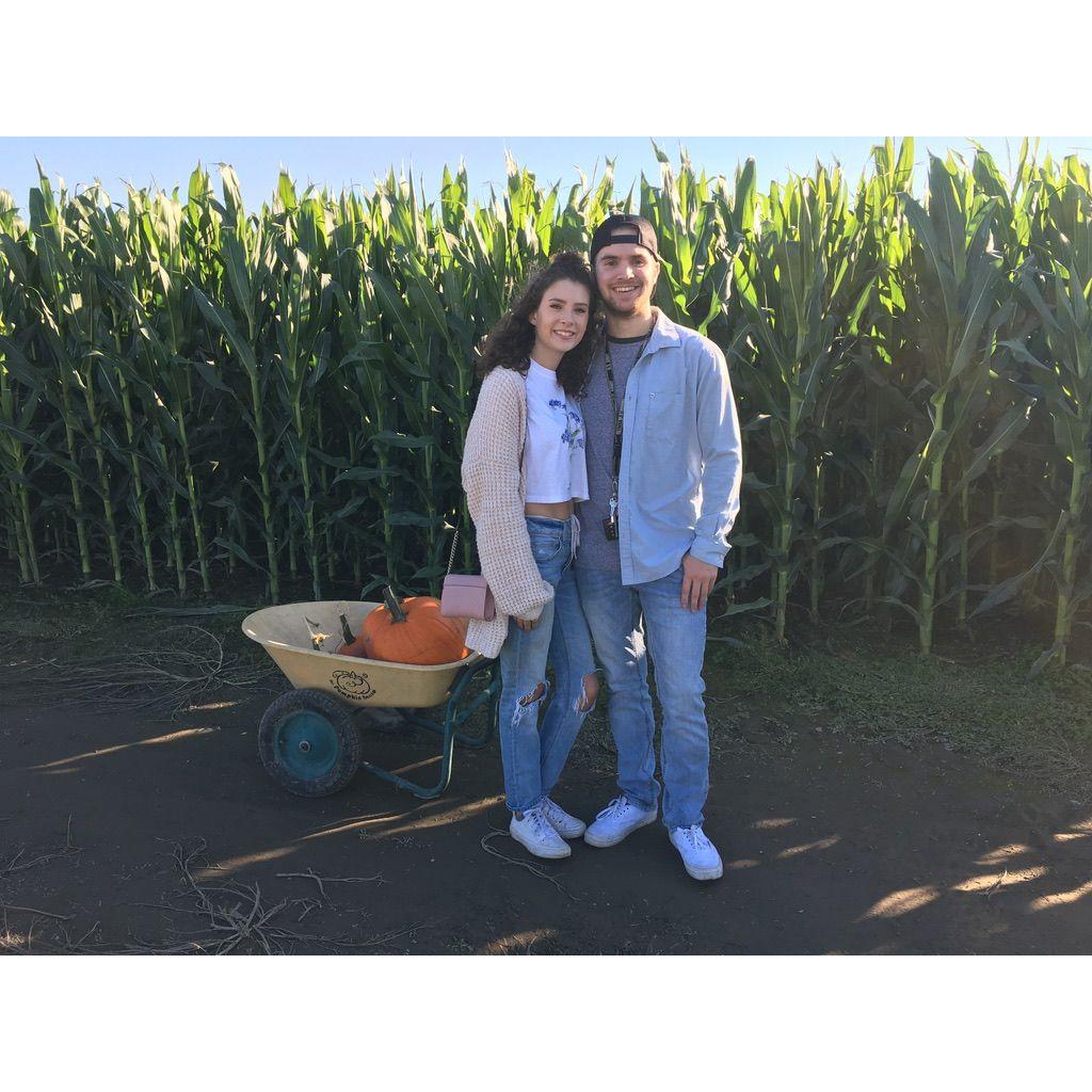 Pumpkin picking