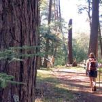 Days River Trailhead