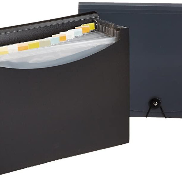 Amazon Basics Expanding Organizer File Folder, Letter Size - Black/Gray, 2-Pack