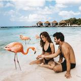 Flamingo Beach