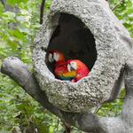 Historical Park Zoo - Parque Historico