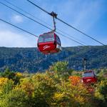 Gondola Skyride