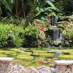 Fairchild Tropical Botanic Garden