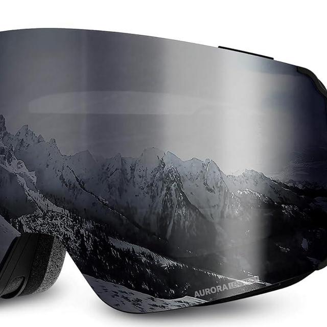 Wildhorn Roca Ski Goggles Men Women Anti-Fog/Scratch 100% UV-Magnetic Lens-Snowboard Snow Goggles Men Women Adult