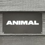 ANIMAL
