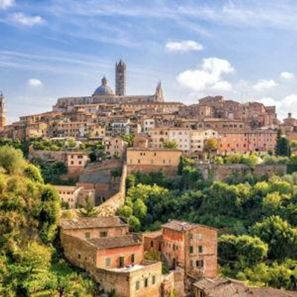 Tuscany Wine Tour