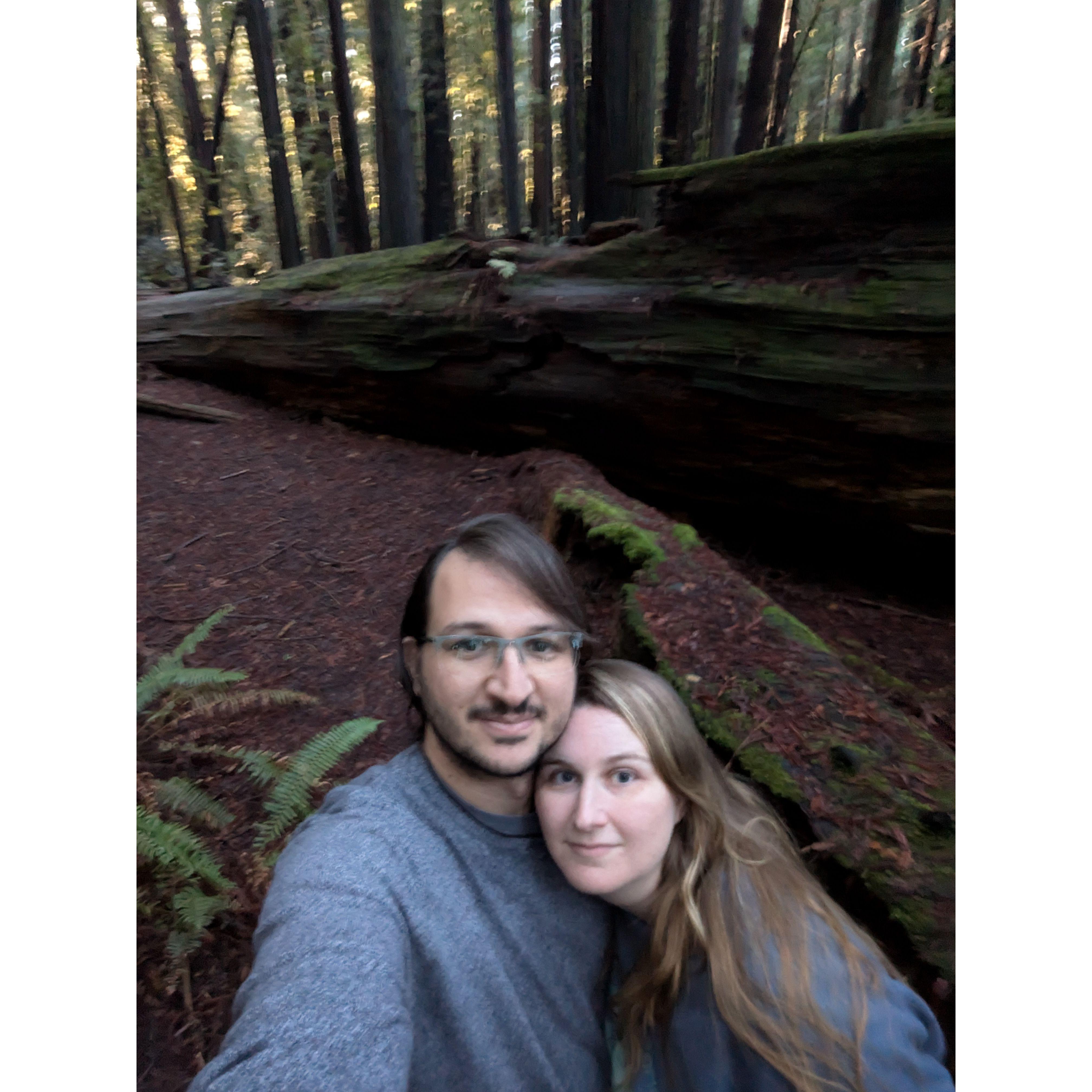 Feeling at one with the ancient forest and trees in the North.
