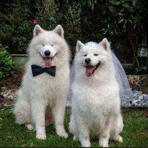 Newlywed Fund