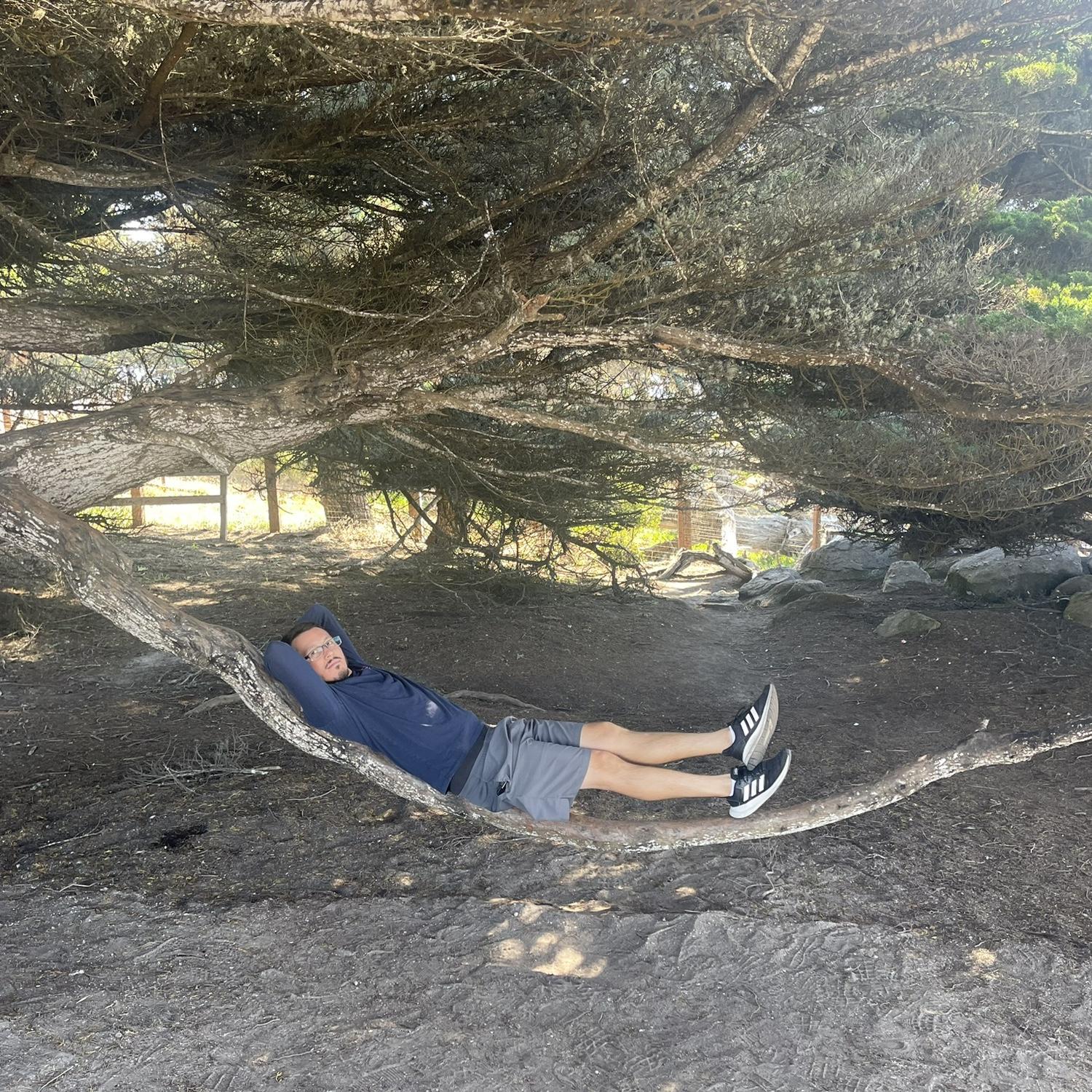 Oscar found this thin branch in Pebble Beach and managed to balance on it