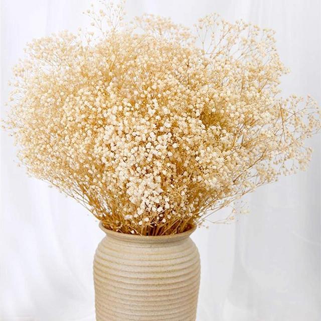 Dried Babys Breath Flowers Bouquet-17 Inch 2500+ Ivory White Dry Flowers, Natural Gypsophila Branches for Wedding, Table Vase Decor, DIY Wreath Floral, Home Office Party Garden Decoration (3oz)