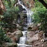 Pretoria National Botanical Gardens