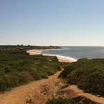 Shadmoor State Preserve Trail