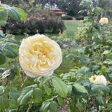 Elizabeth Park Conservancy
