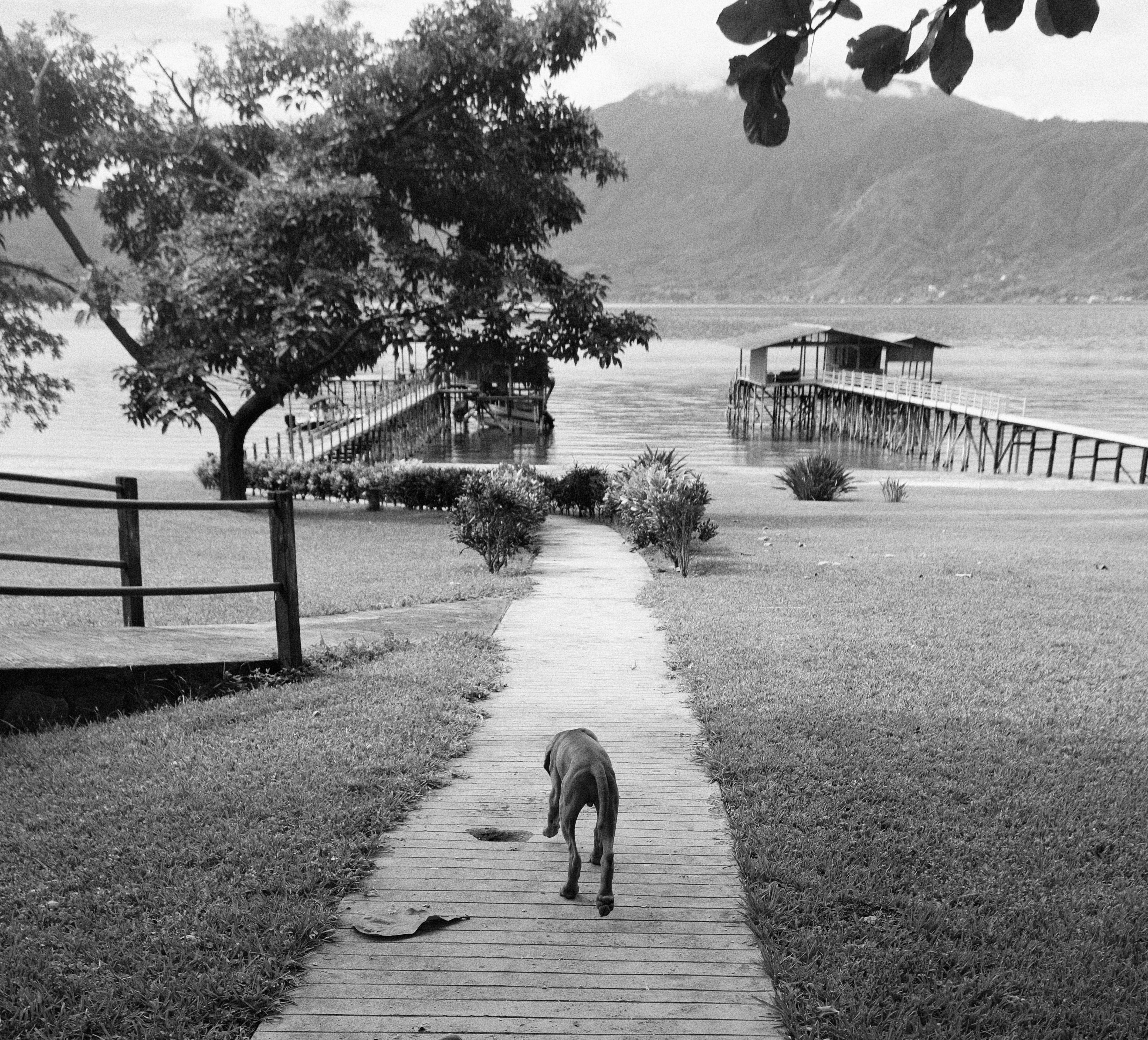 The Wedding Website of Alexia Escalón and Ricardo Augspurg