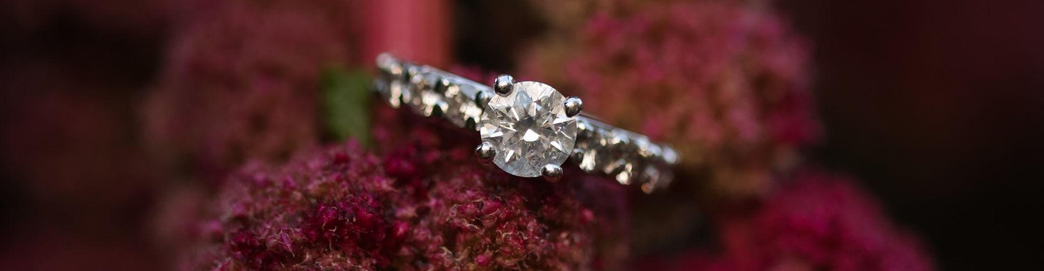 The Wedding Website of Kaitlyn Champion and Thomas Hockaday