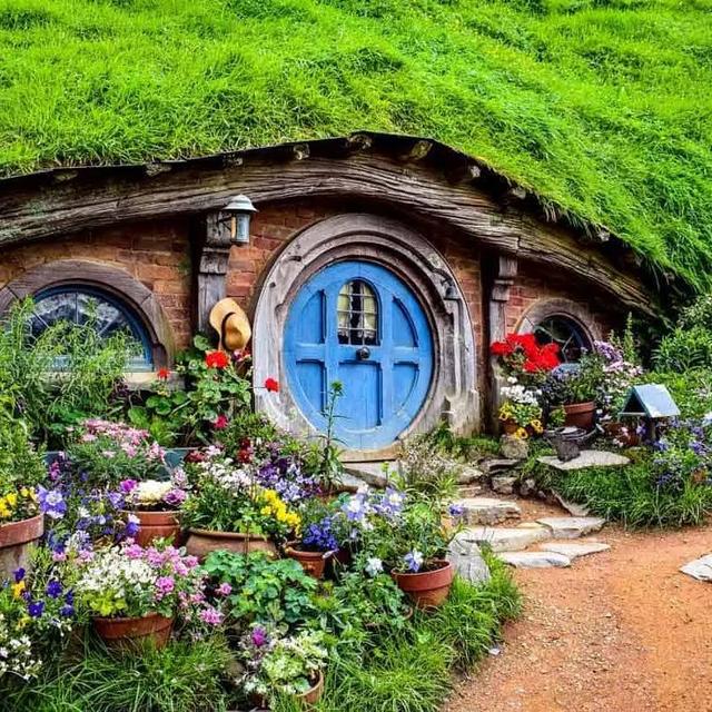 New Zealand Hobbit Honeymoon!