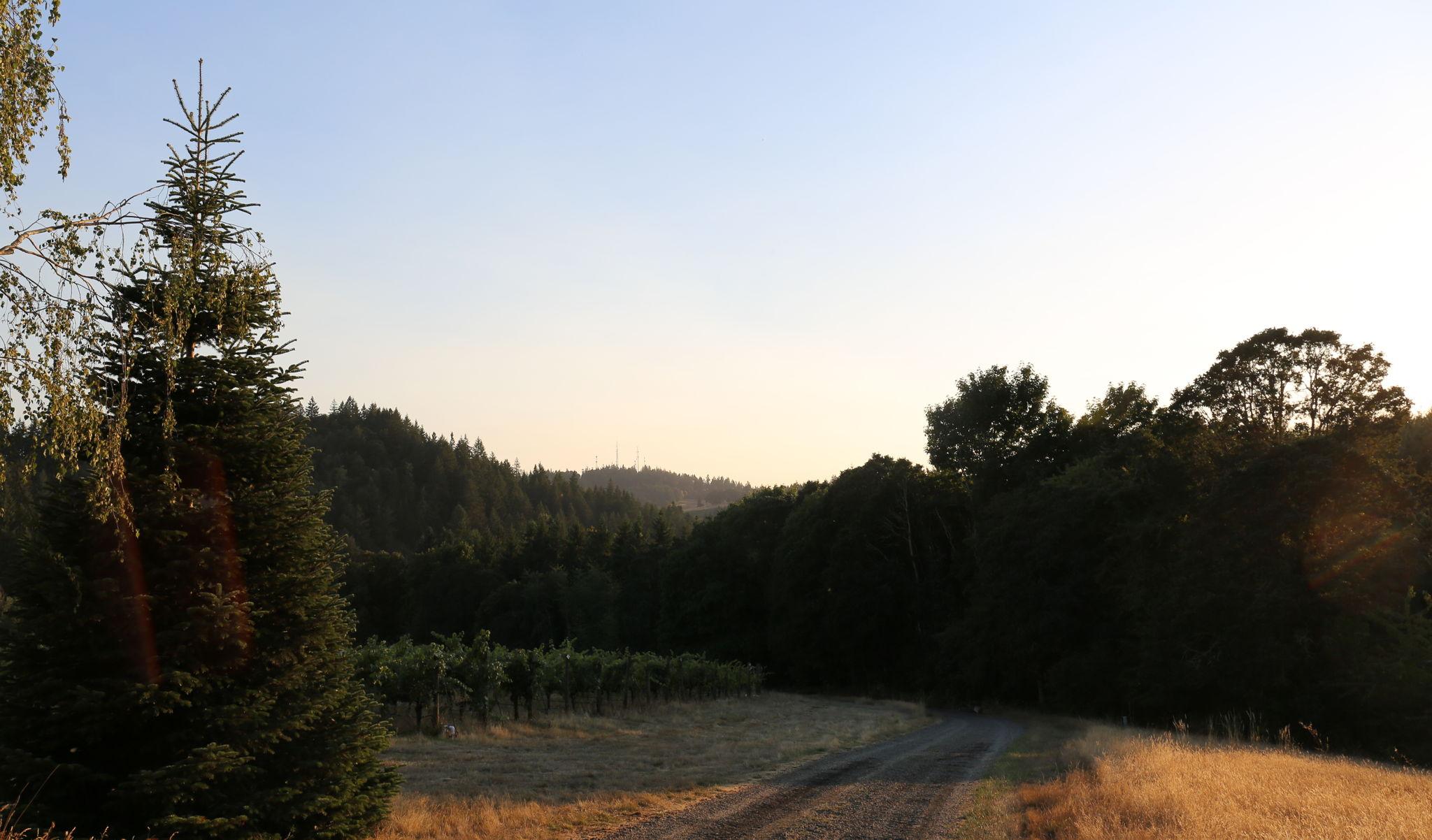 The Wedding Website of Alexis Harrington and Randy Freund