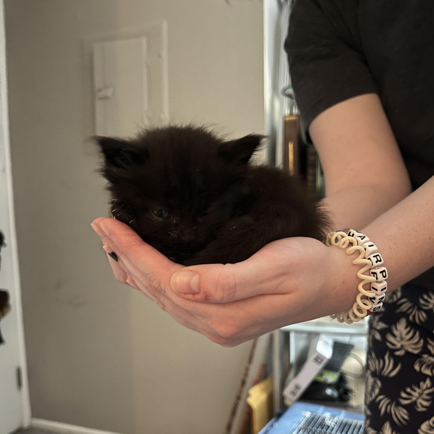 The night we found Cricket <3