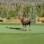 Grand Lake Golf Course Grand Lake, Co