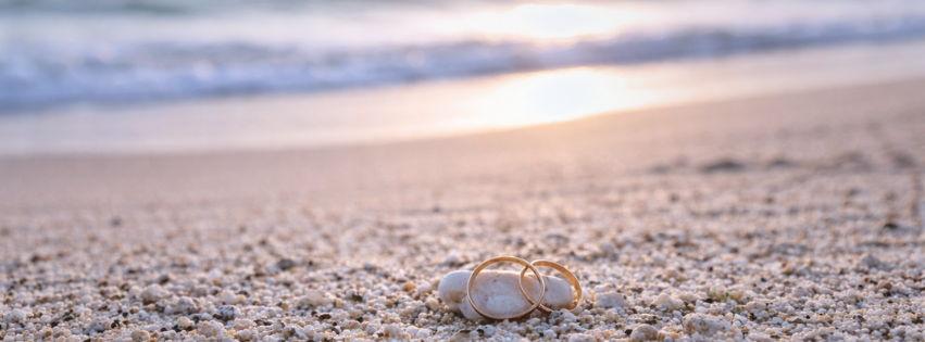 The Wedding Website of Tulio Aparicio and Michele Cardozo