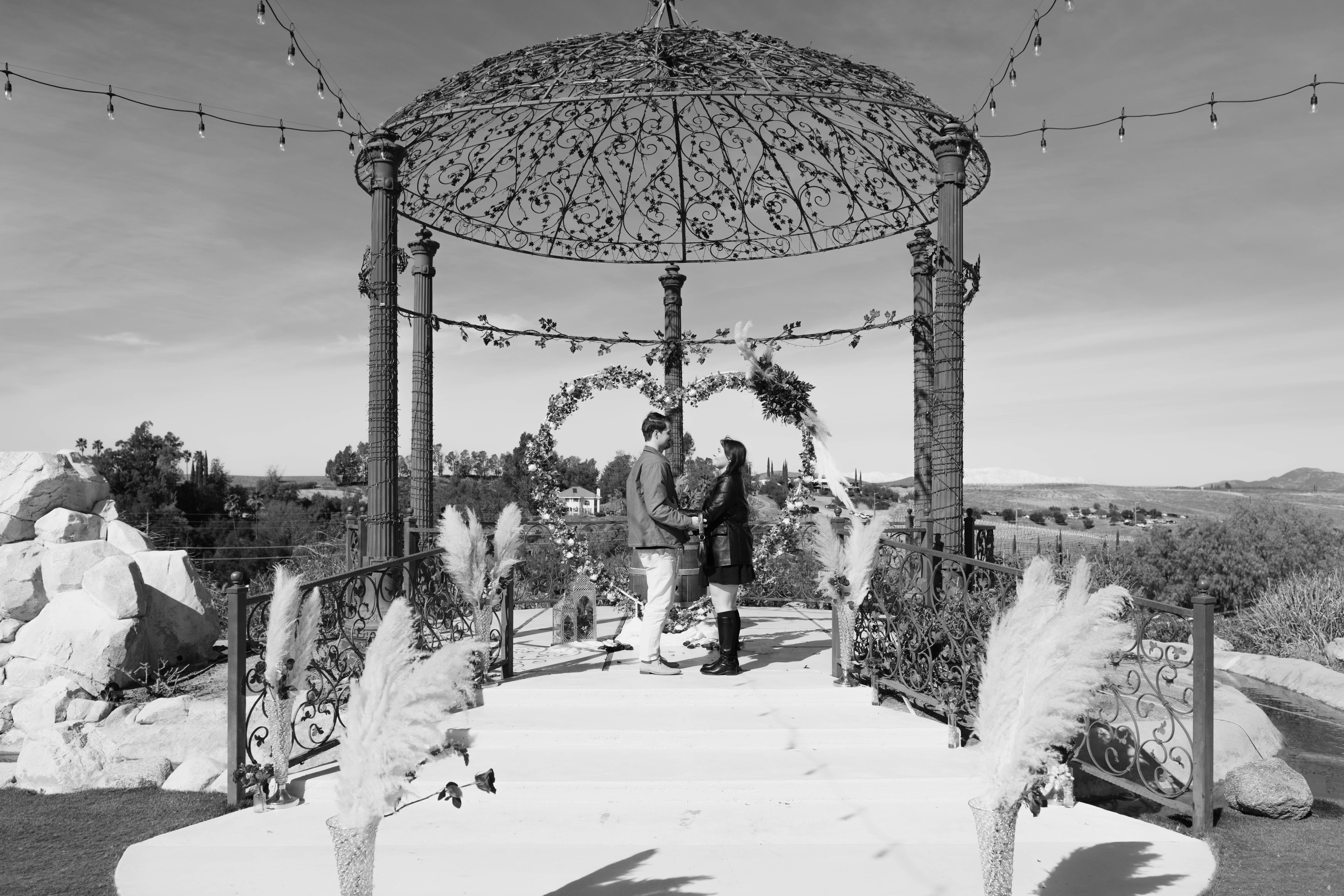 The Wedding Website of Shania Martin and Samuel Cooke